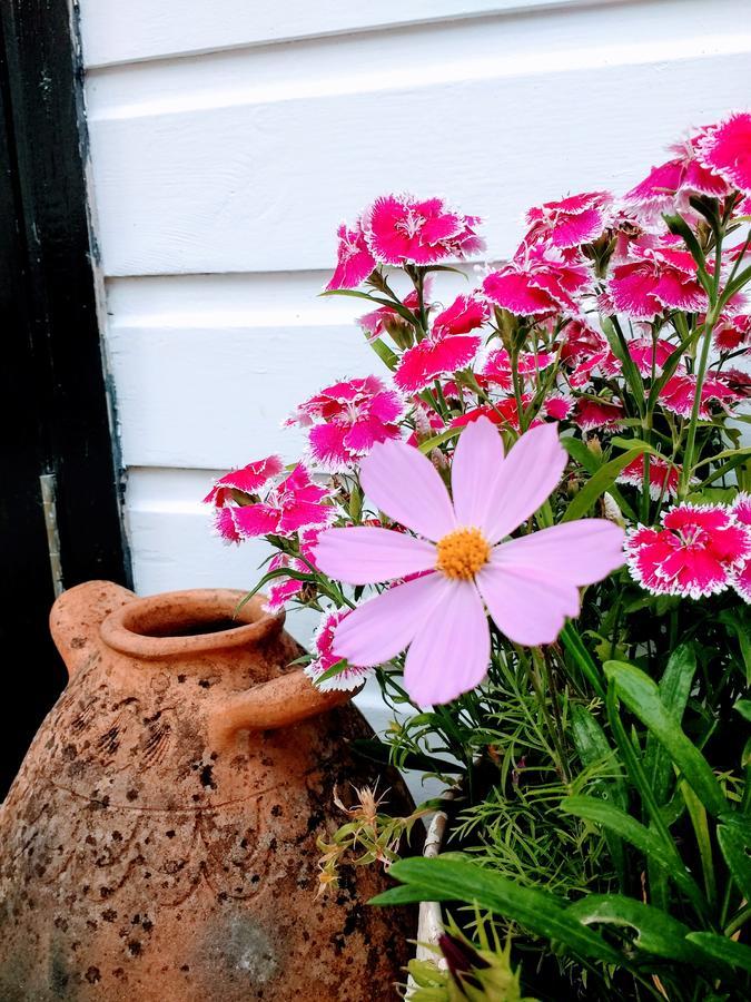 Bed and Breakfast Rose Farm Гонітон Екстер'єр фото