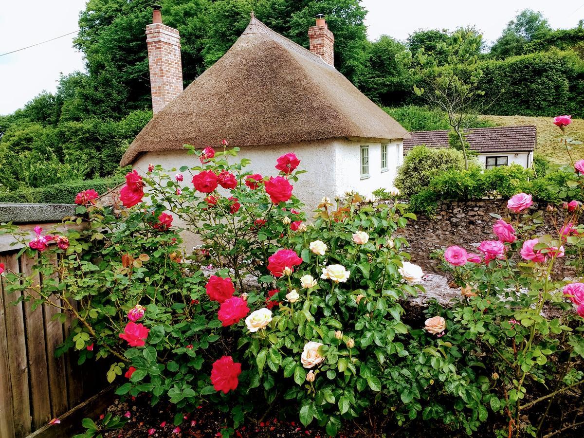 Bed and Breakfast Rose Farm Гонітон Екстер'єр фото